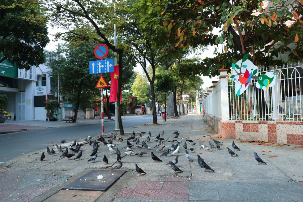 The moment when Saigon Street in the early morning of the New Year, Tan Suu without people, the most peaceful - photo 7