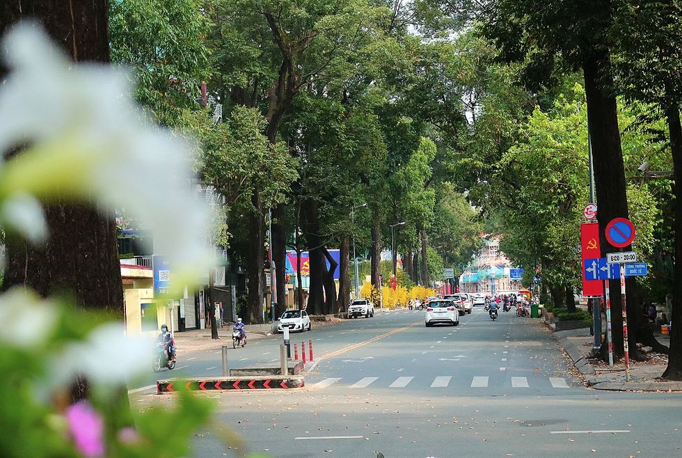 The moment Saigon Street early in the morning, on the first day of the New Year, Tan Suu without people, the most peaceful - photo 14