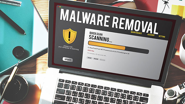 Malware removal