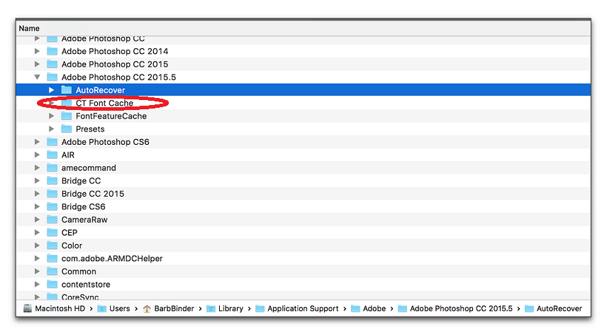 Delete the CT Font Cache folder -Mac