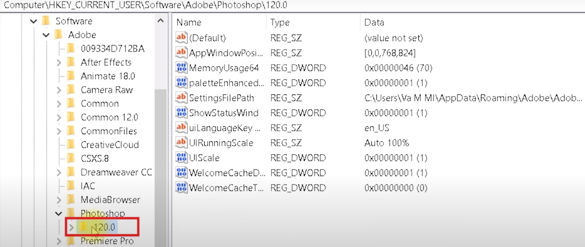 Select the folder 120.0 or 110.0 depending on the Photoshop version